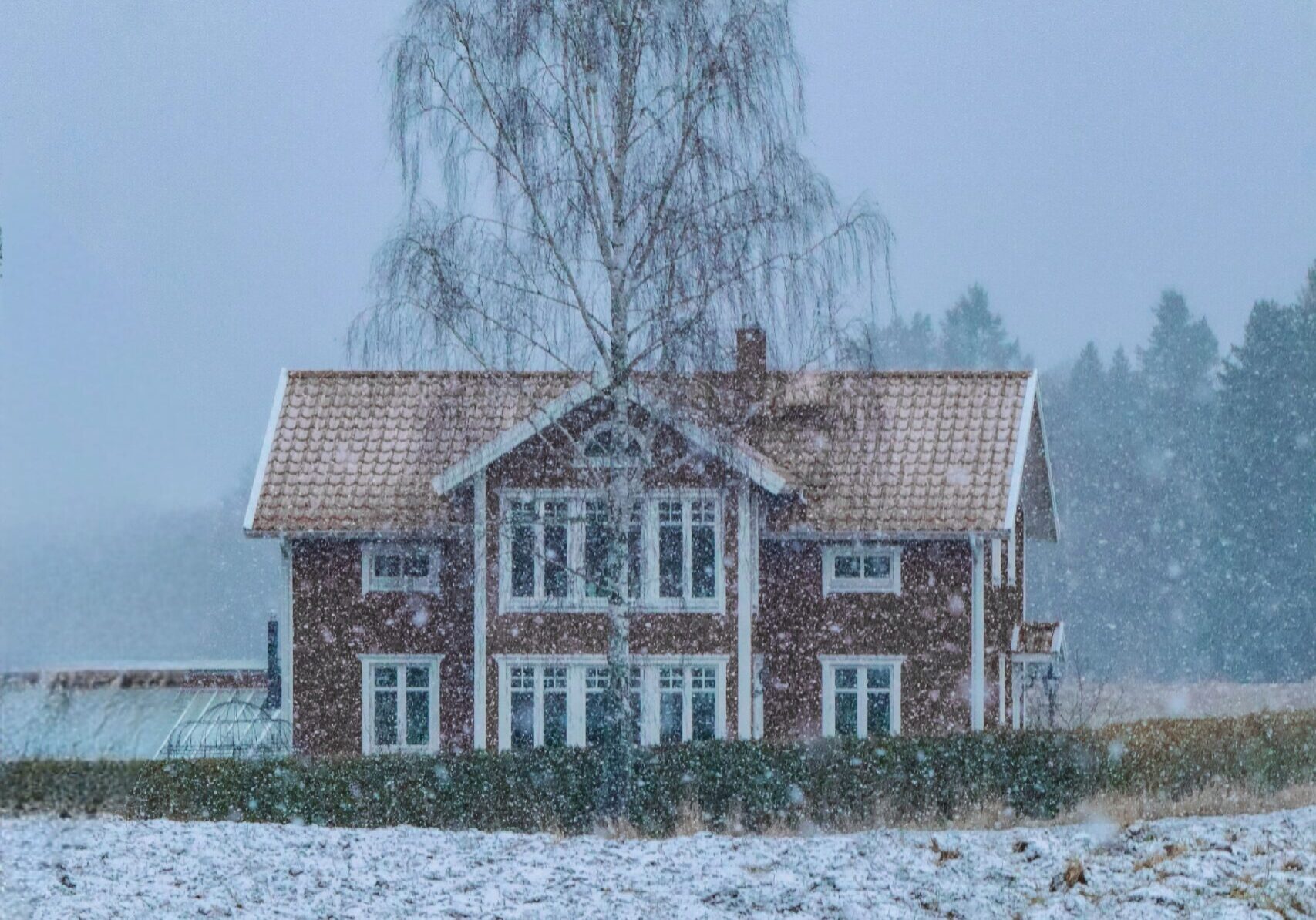 hall-varmen-i-vinter